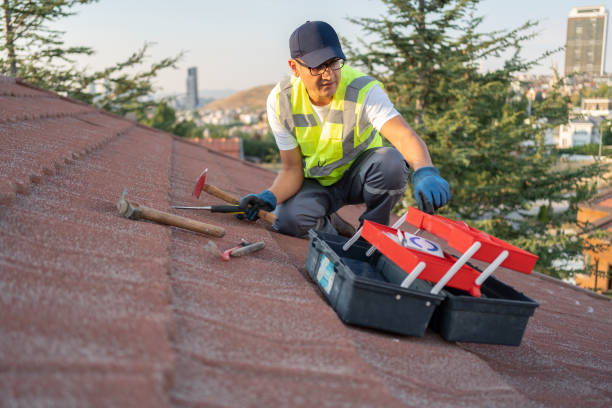 Best Fascia and Soffit Installation  in Takoma Park, MD